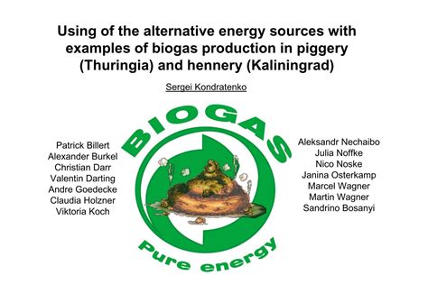 Bioenergy Examples 的图像结果