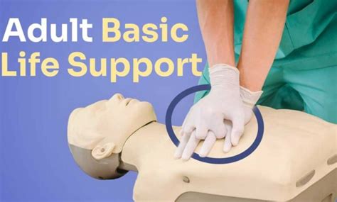 BLS Steps 的图像结果