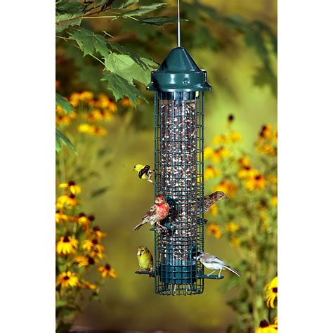 Brome Squirrel Buster Classic Squirrel Proof Bird Feeder – Backyard ...