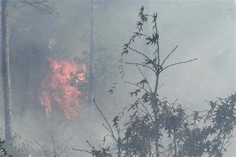 Forced evacuations and burn ban as wildfires spread across North and ...