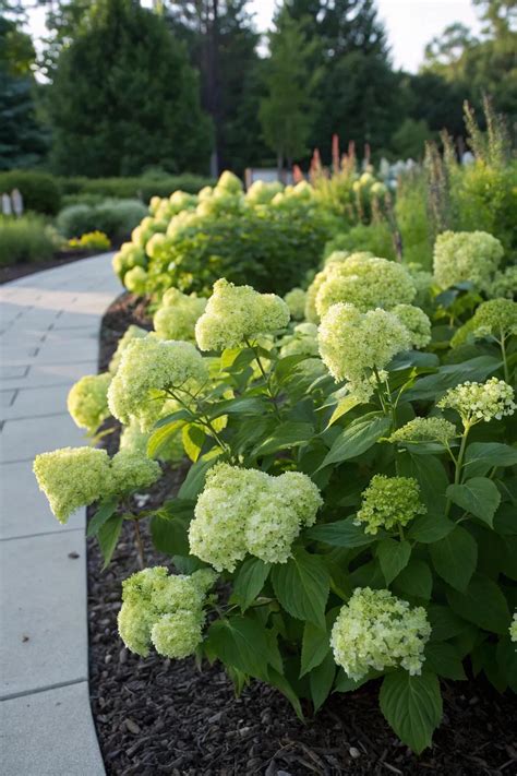 13+ Stunning Flowering Hedge Plants Ideas