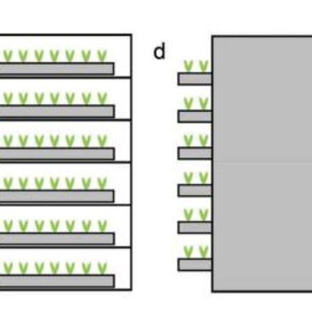 Vertical Farming Process 的图像结果