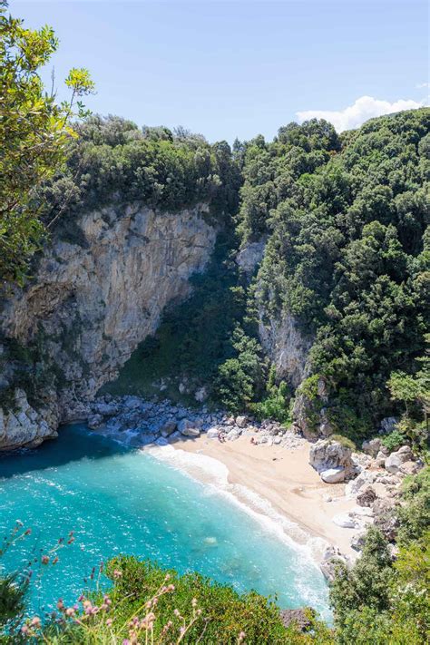 Image result for Python Code Questions for Practice