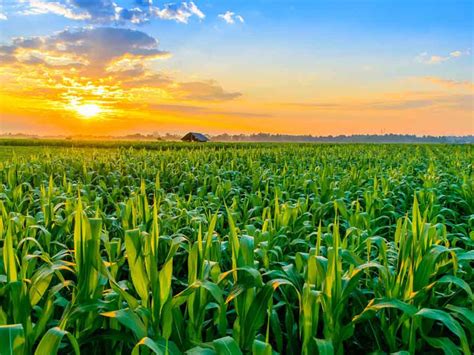 Green Garden Group | Sapna Apka Sahyog Humara