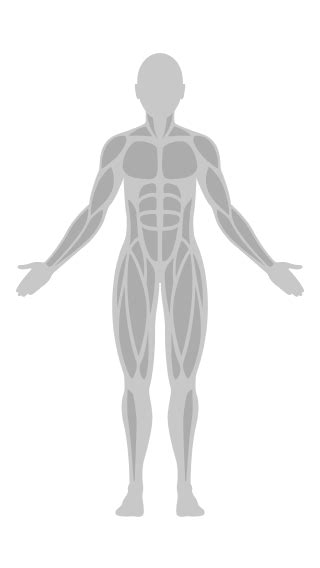 Image result for Toe Touch Crunch Exercise