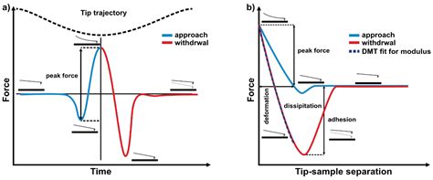 The Quantitative Nanomechanical Mapping of Starch/Kaolin Film Surfaces ...