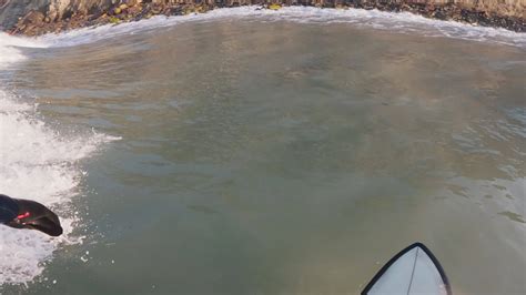 Surfing 的图像结果