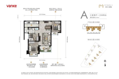 1000平米大平层户型图,超级大平层户型图,超大平层户型图(第2页)_大山谷图库