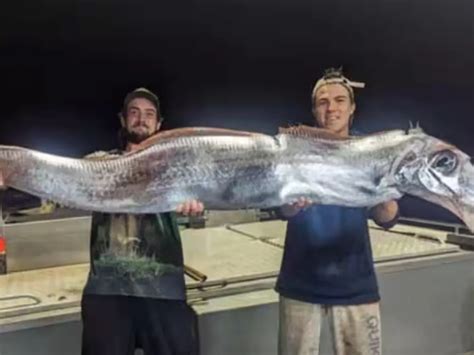 Doomsday fish seen four times in last 20 days, including in India. Here ...