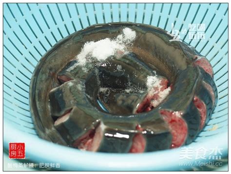 鲈鳗鱼图片-图库-五毛网