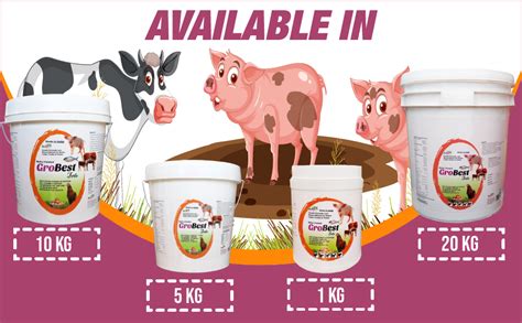 REFIT ANIMAL CARE Metho Chelated Mineral Mixture Powder for Cow ...