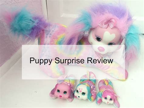 Surprise Puppy Surprise