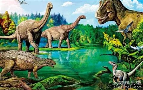 恐龙灭绝与地磁倒转有关吗 - 化石网