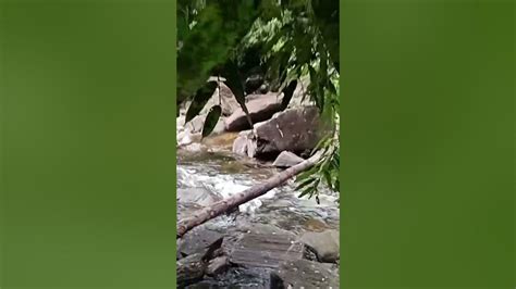 How Do Rivers Form 的图像结果