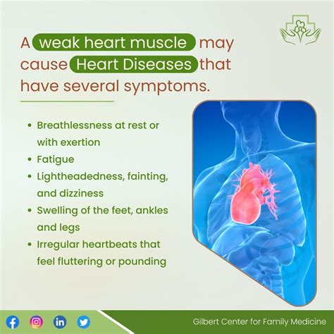 A Weak Heart Muscle May Cause Heart Diseases That Have Several Symptoms - Gilbert Center