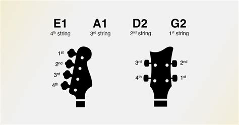 Bass Tuning Tutorial 的图像结果
