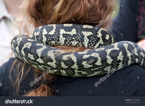 Image result for Python around Neck