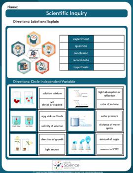 Visual Science Assessment - Scientific Method - Will it Float? | TPT