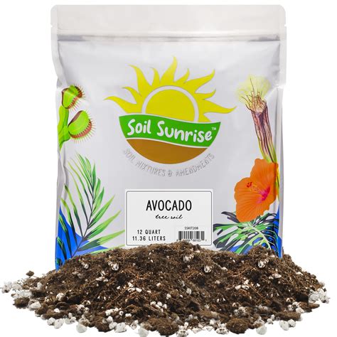 Soil Sunrise Avocado Potting Blend (12 Quarts), Hand-Blended for ...
