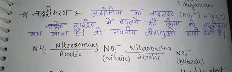 nitrogen fixation in root nodule begin after the formation of? - Brainly.in