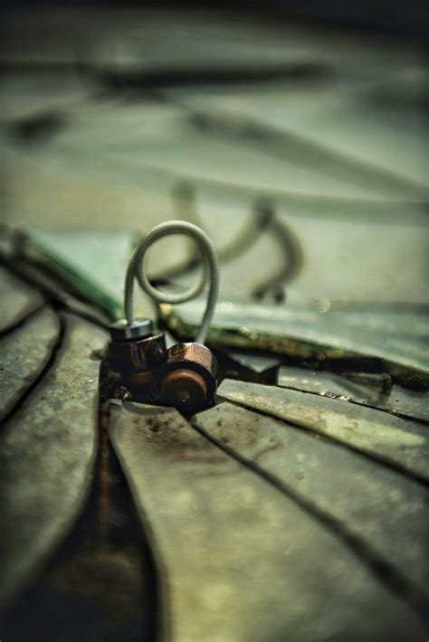 Learning Butterfly Tricks 的图像结果