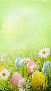 Image result for Cute Easter iPhone Wallpaper