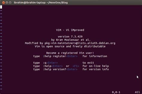Image result for Vim Programming