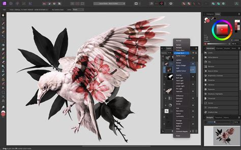 Bienvenue chez Canva, Affinity