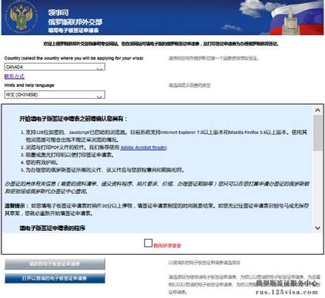 俄罗斯电子签证申请表将有中文版 - 2023年10月3日, 俄罗斯卫星通讯社
