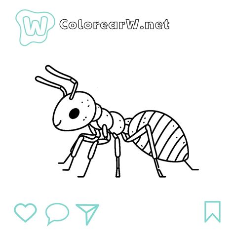 35 Macaw Coloring Pages - Free Printable Pages