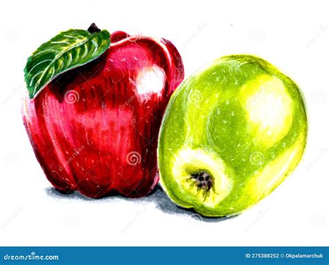 Two Apples Green and Red with One Green Leaf Isolated on White ...