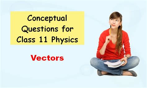 Image result for Vector Class 11 Physics Questions