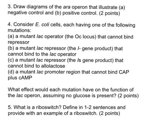 Image result for ATH Operon Positive Control and Negative Control Diagram