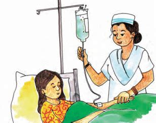 From Tasting to Digesting Class 5 Notes EVS Chapter 3 Free PDF