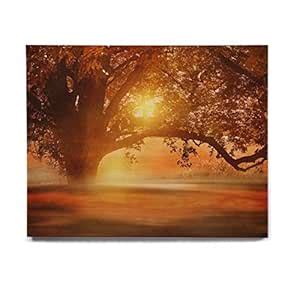 KESS InHouse Viviana Gonzalez "Romance In Autumn" Orange Gold Birchwood ...