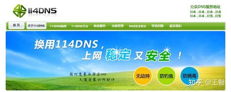 DNS 的图像结果