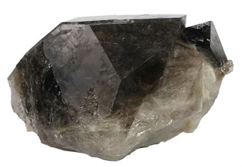 Large, 6.9" Smoky Quartz Crystal - Brazil (#61237) For Sale - FossilEra.com
