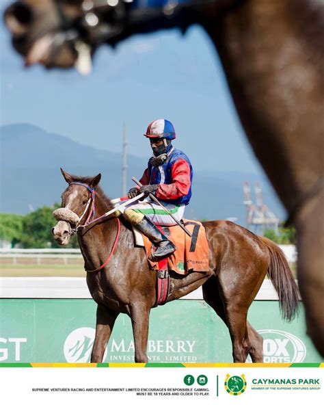 Caymanas Park Racing | Horse Racing Track | Show off your best race day ...