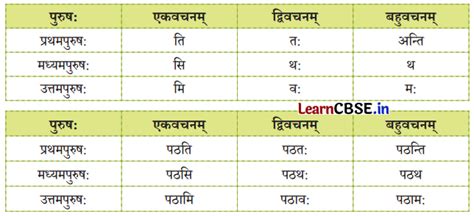 बुद्धिः सर्वार्थसाधिका Class 6 Sanskrit Deepakam Chapter 8 Question ...