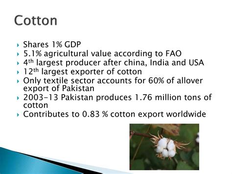 Major agricultural import and export of pakistan | PPTX