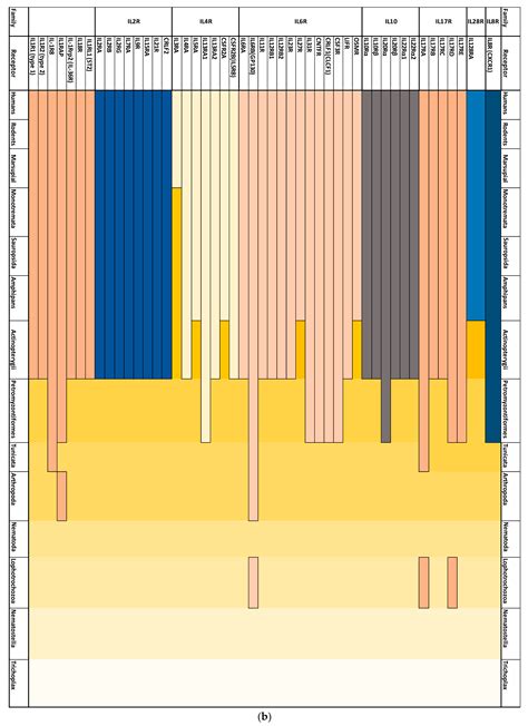 Interleukins and Interleukin Receptors Evolutionary History and Origin ...