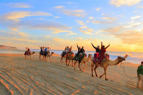 Camel Ride on the Beach - Fun Vacation
