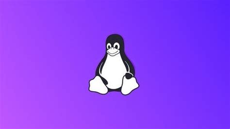 Image result for Free Complete Video Linux Course