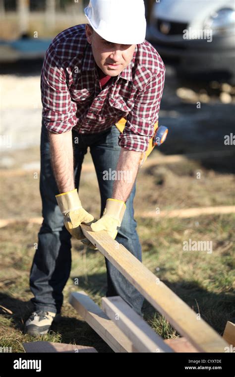 Laborer 的图像结果