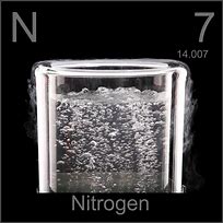 nitrogen 的图像结果