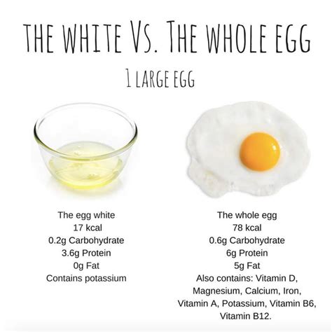 Just Egg Equal To Egg at Nate Hocking blog