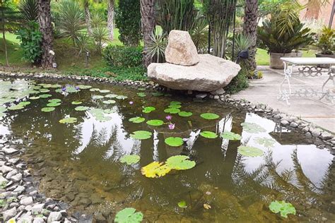 THE 10 BEST Restaurants in Ahmedabad (Updated February 2025)