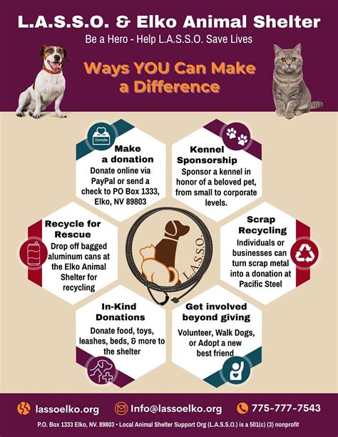 What is L.A.S.S.O.? Support Elko’s No-Kill Animal Shelter and Shelter Expansion — Elko Community Hub