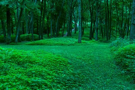 Take it outside: It’s National Park Week | ia magazine