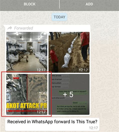 IAF strike on Balakot: Rash of fake news about Pakistani casualties ...